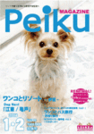 peikumagazine.gif